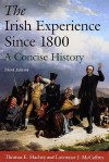 The Irish Experience Since 1800: A Concise History - Thomas E. Hachey, Lawrence J. Mcaffrey