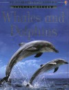 Whales and Dolphins - Susan Davidson