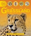 Grassland - Sean Callery