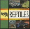 Reptiles - Graham Meadows