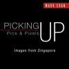 Picking Up Pics & Pixels - Images from Singapore - Mark Chan