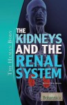 The Kidneys and the Renal System - Kara Rogers