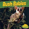 Bush Babies - Willow Clark