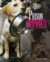 Prison Puppies - Meish Goldish