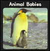 Animal Babies - Valerie Tracqui