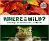 Where in the Wild?: Camouflaged Creatures Concealed... and Revealed - David M. Schwartz, Yael Schy, Dwight Kuhn