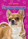 Chihuahuas - Sara Green