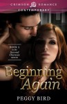 Beginning Again: Book 1 in the Second Chances series (Crimson Romance) - Peggy Bird