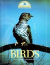 Birds - Messody Weinberger, Norman Nodel, Noah Satat