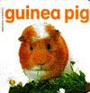 GUINEA PIG (Baby Animal Board Books) - Carol Watson