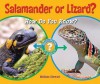 Salamander or Lizard?: How Do You Know? - Melissa Stewart