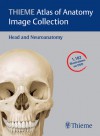 Head and Neuroanatomy (Thieme Atlas of Anatomy Image Collection) - Michael Schünke, Udo Schumacher, Erik Schulte, Lawrence M. Ross