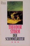 Der Schimmelreiter - Theodor Storm