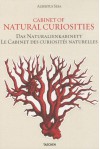 Cabinet of Natural Curiosities - Albertus Seba, Rainer Willmann