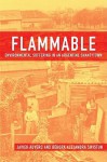 Flammable: Environmental Suffering in an Argentine Shantytown - Javier Auyero, Debora Alejandra Swistun