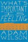 What's Important Is Feeling: Stories - Adam Wilson