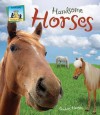 Handsome Horses - Anders Hanson