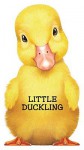 Little Duckling - Barron's Book Notes