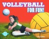 Volleyball for Fun! - Darcy Lockman