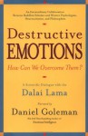 Destructive Emotions: A Scientific Dialogue with the Dalai Lama - Daniel Goleman