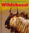 Wildebeest (A Day in the Life: Grassland Animals) - Louise Spilsbury