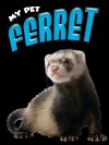 Ferret - Lynn Hamilton