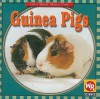 Guinea Pigs - JoAnn Early Macken