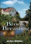 Brook Breasting - John White