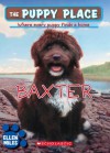 The Puppy Place #19: Baxter - Ellen Miles, Tim O'Brien