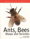 Ants, Bees, Wasps & Termites (Nature Fact File...) - Jen Green