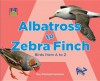 Albatross to Zebra Finch: Birds from A to Z - Mary Elizabeth Salzmann