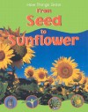 From Seed To Sunflower (How Things Grow) - Sally Morgan