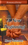 A New Beginning - Mary Suzanne