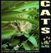 Cats: In from the Wild - Caroline Arnold