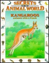 Kangaroos: Animals with a Pouch - Andreu Llamas