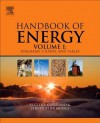 Handbook of Energy, Volume I: Diagrams, Charts, and Tables - Cutler J. Cleveland, Christopher G. Morris