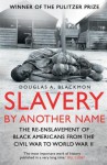 Slavery by Another Name: The Re-Enslavement of Black Americans from the Civil War to World War Two - Douglas A. Blackmon