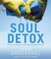 Soul Detox: Clean Living in a Contaminated World - Craig Groeschel