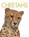 Cheetahs - Kate Riggs