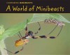 A World of Minibeasts - Charlotte Guillain