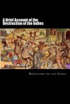 A Brief Account of the Destruction of the Indies - Bartolomé de las Casas, Alex Struik