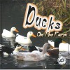 Ducks on the Farm - Kyla Steinkraus