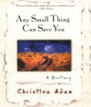 Any Small Thing Can Save You - Christina Adam