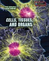 Cells, Tissues, and Organs - Richard Spilsbury