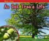 An Oak Tree's Life - Nancy Dickmann