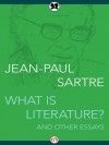 What Is Literature? - Jean-Paul Sartre, Bernard Frechtman