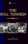 The Bull Terrier - Williams Haynes