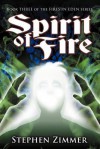 Spirit of Fire - Stephen Zimmer, Karen M. Leet, Matthew Perry