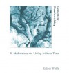 Elementary Cloudwatching: 31 Meditations on Living Without Time - Robert Wolfe