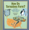 How Do Tornadoes Form?: And Other Questions Kids Have about Weather - Suzanne Slade, Cary Pillo